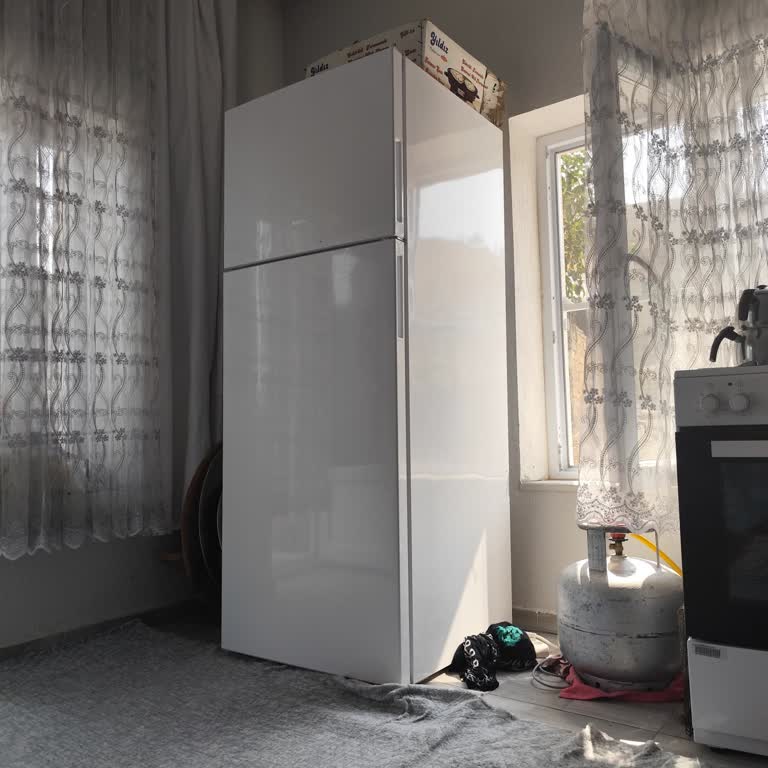 Regal Buzdolabının Sürekli Arızalanması Ve Yedek Ürün Sorunu