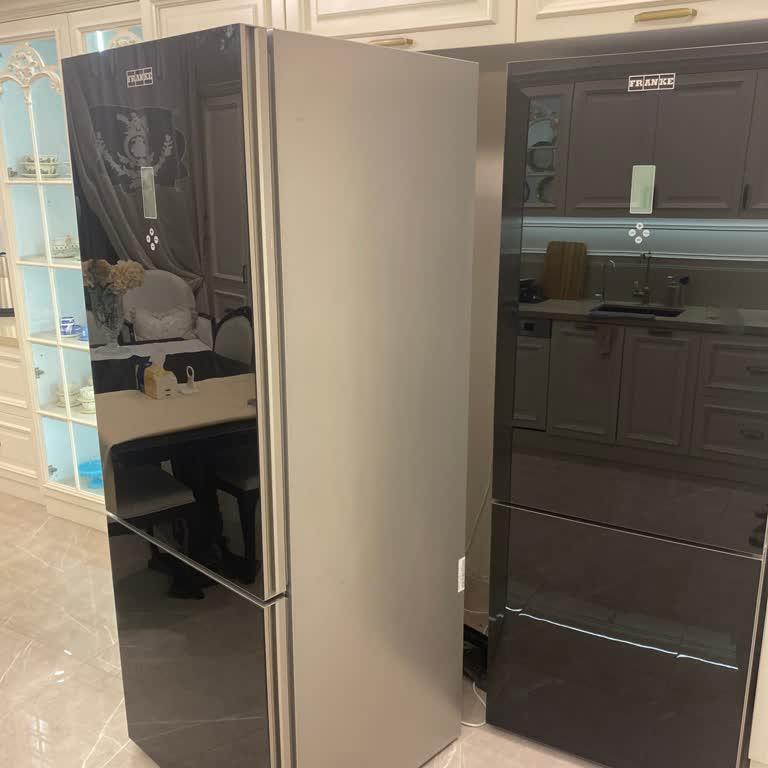 I Face Repeated Gas Leaks and Malfunctions on Two Franke Refrigerators