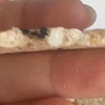 Eti Form Çok Tahıllı Buğday Patlağında Şüpheli Siyah Madde Şoku!