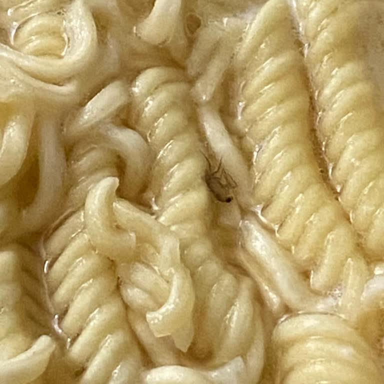 Noodle İçinden Böcek Çıktı, Hayal Kırıklığına Uğradım!