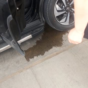 Sunpet Sarıçam Şubesinde Olumsuz Çalışan Davranışı