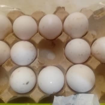 A101 Aldığım Yumurtalar Küflü Ve Bozulmuş Çıktı