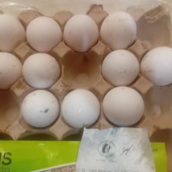 A101 Aldığım Yumurtalar Küflü Ve Bozulmuş Çıktı