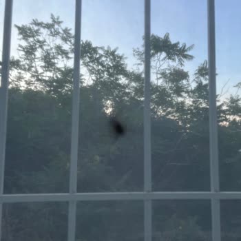 İzmir Çeşme Minerva Port Hotel  Memnun Kalmama