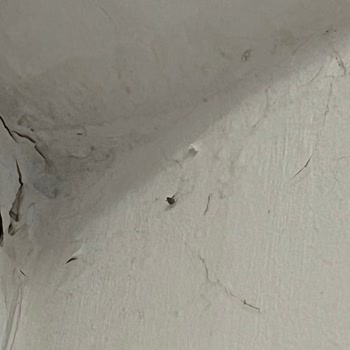 İzmir Çeşme Minerva Port Hotel  Memnun Kalmama