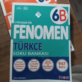 Fenomen 6b Kitaplarında Saçma Ve Anlaşılmaz Sorular, Yazım Hataları