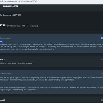 I Deposited Money on Hellcase But Didn’t Receive It in My Balance for 5 Days