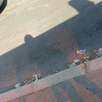 İzmir Bornova'da Ciddi Temizlik Sorunu Ve Belediye İlgisizliği