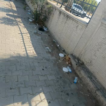 İzmir Bornova'da Ciddi Temizlik Sorunu Ve Belediye İlgisizliği