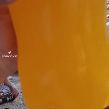 Fanta İçinde Her Şey Var Gibi