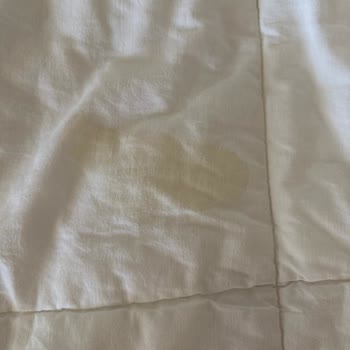 Kötü Temizlik Ve Hizmet Nedeniyle Otele Devam Edemedik, Ücret İadesi Yapılmıyor