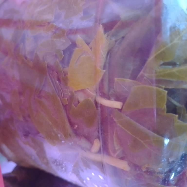 Sipariş Ettiğim Yapraklar Kalitesiz Ve İletişim Engellendi