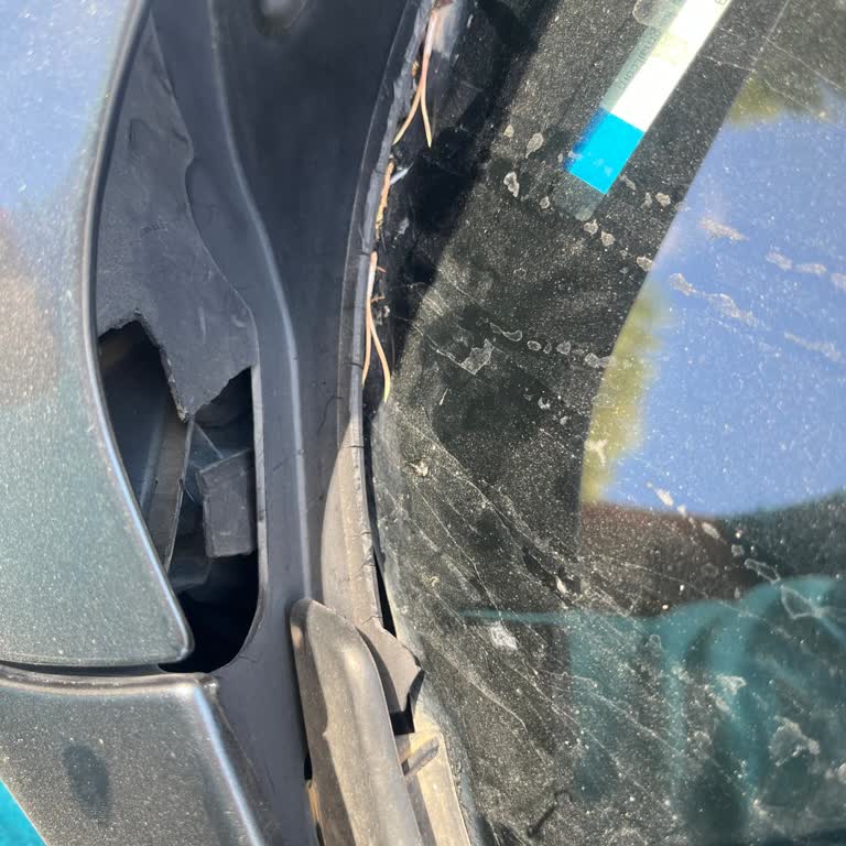 BMW'de Kronik Kapı Kolu Ve Cam Fitili Sorunu: Premium Markaya Yakışmıyor