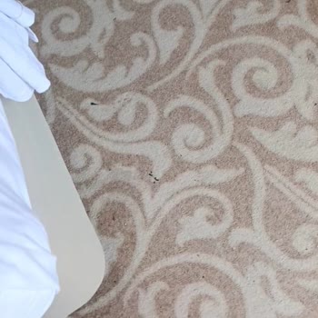 Hayal Kırıklığı Yaratan Otel Deneyimi Ve Hijyen Sorunları