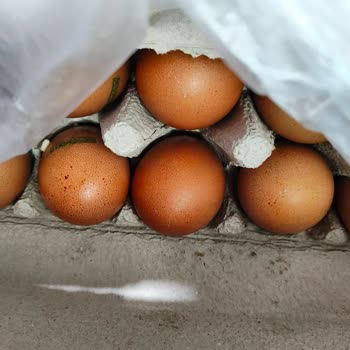 Ağır Kokulu Ve Kurtlu Yumurta Teslimatı Mağduriyetim