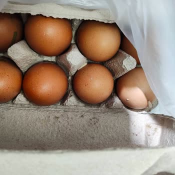 Ağır Kokulu Ve Kurtlu Yumurta Teslimatı Mağduriyetim