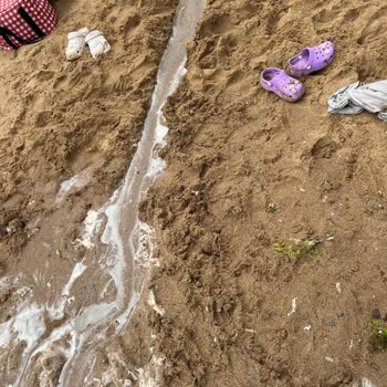 Elmasburnu Plajı'nda Kötü Temizlik Ve Sağlıksız Koşullar