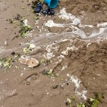 Elmasburnu Plajı'nda Kötü Temizlik Ve Sağlıksız Koşullar