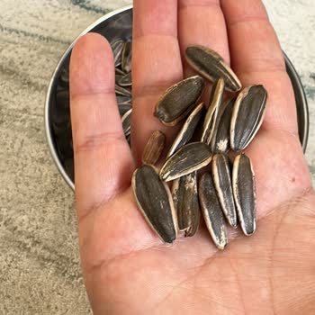 Çitlekçi Aldığım Çekirdeklerde Yanık Ve Kötü Koku Sorunu Yaşadım