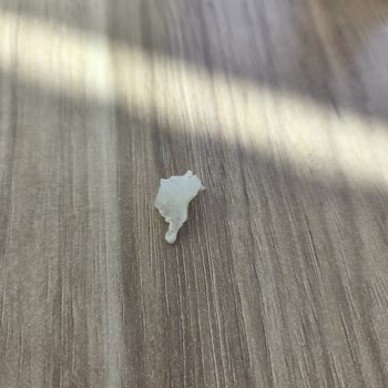 Peyname Peynirin İçinden Silikon Parça Çıktı, Tadı Da Kötüydü