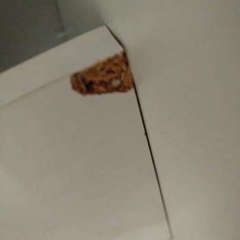 Siparişim Geç Teslim Edildi Ve Eksik/Kusurlu Ürün Geldi