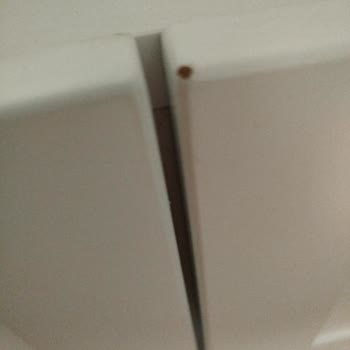 Siparişim Geç Teslim Edildi Ve Eksik/Kusurlu Ürün Geldi