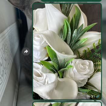 Siparişim Eksik Ve Hatalı Geldi, İade Talebime Dönüş Yapılmıyor