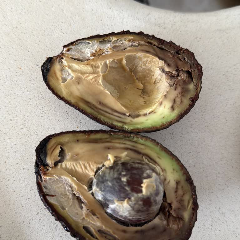 Seçilen Avokadonun Kalitesi Hayal Kırıklığı Yarattı