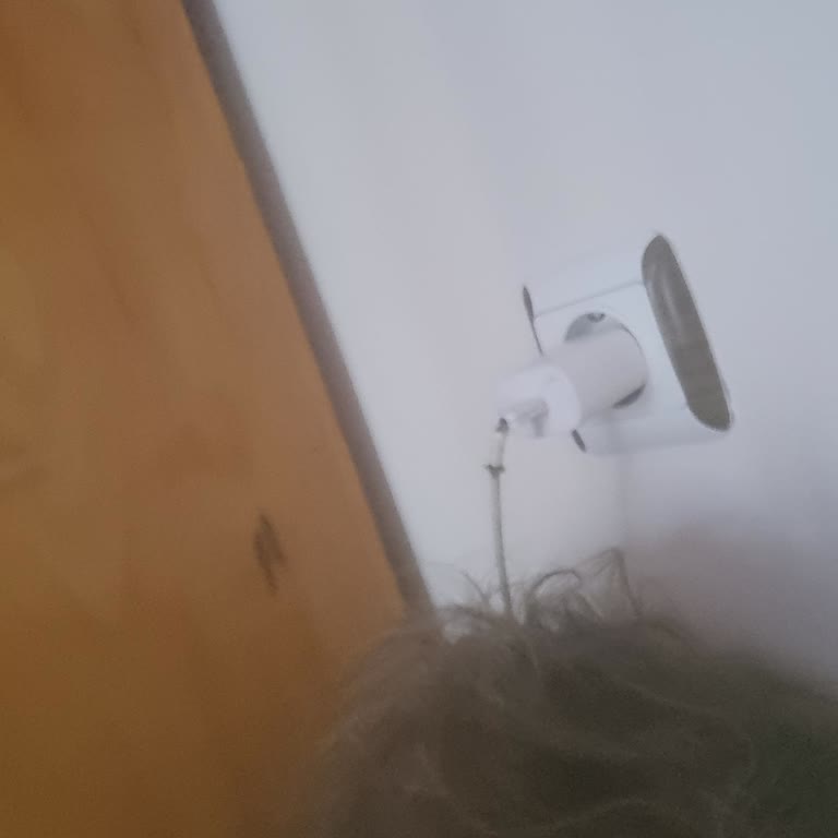 Pahalı Şampuan Saçlarımı Daha Da Kötüleştirdi!