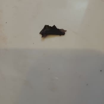 Çamaşır Makinesinde Sürekli Siyah Leke Sorunu Ve Çözüm Bulunamaması