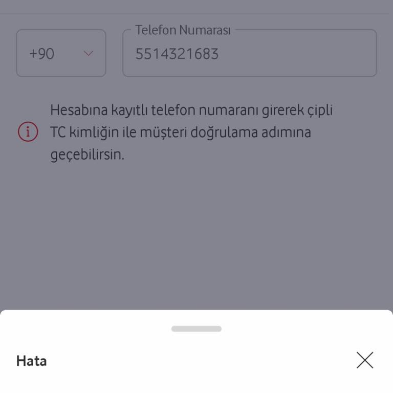 Şifre Sıfırlama Hatası Mağduriyeti