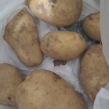 Çürük Sebzeler Ve İade Sorunu Yaşadım