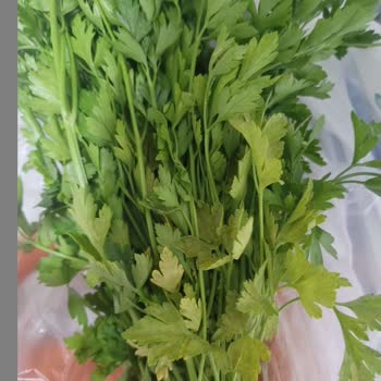 Çürük Sebzeler Ve İade Sorunu Yaşadım