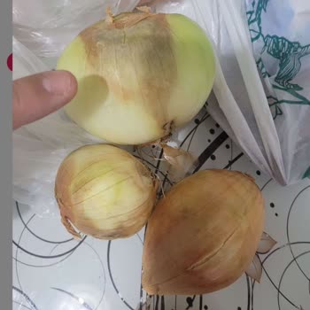 Çürük Sebzeler Ve İade Sorunu Yaşadım