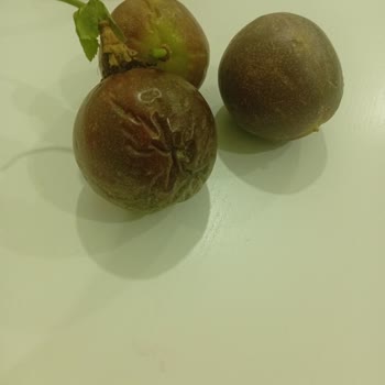 Yemek Sepeti Marketten Son Kullanma Tarihi Geçmiş Ve Hatalı Ürün Teslimatı