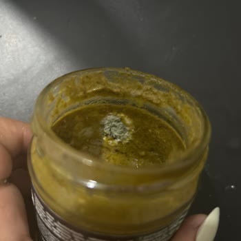 Tamek Pesto Sos Son Kullanma Tarihinden Önce Küflendi Sağlık Ve Maddi Zarar Oluştu
