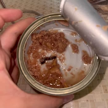 Dardanel Ton Balığında Karşılaştığım Yabancı Maddeyle Yaşadığım Hayal Kırıklığı