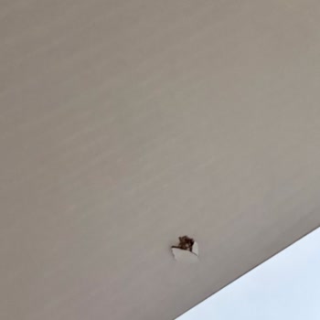 İder Mobilya'dan Hasarlı Ürün Ve Yetersiz Müşteri Desteği Mağduriyeti