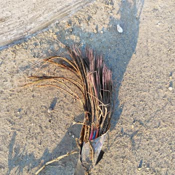 Asfalt Çalışması Sonrası İnternet Kesintisi Ve Altyapı Sorunları