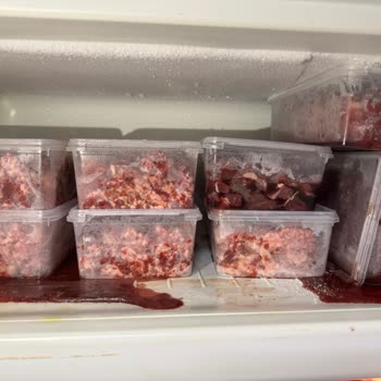 Profilo Derin Dondurucu Arızası: Etlerim Bozuldu, Servis Yetersiz Kaldı