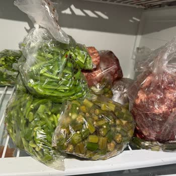 Profilo Derin Dondurucu Arızası: Etlerim Bozuldu, Servis Yetersiz Kaldı