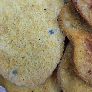 A101'den Alınan Bozuk Ürün Ve İlgisiz Müşteri Hizmetleri Mağduriyeti