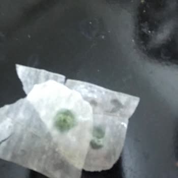 Şok Marketler Tamköy Yufka Küflü Çıktı!