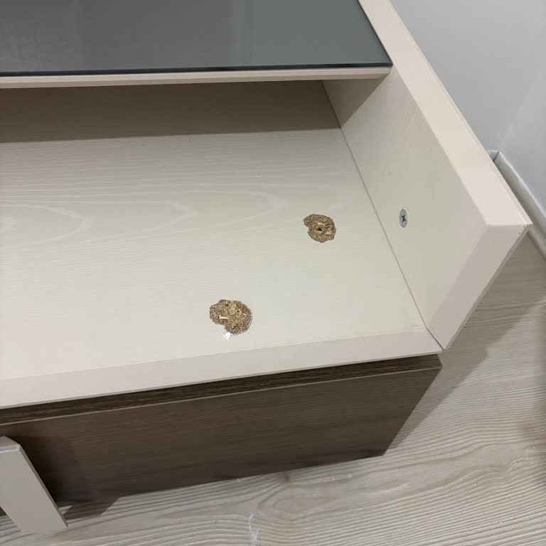 Engince Modoko Şubesi Teslimat Ve Kurulum Sorunları