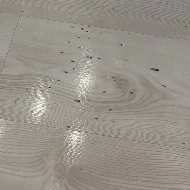 Philips 7000 Serisi Süpürgede Sürekli Filtre Uyarısı Ve Kullanım Sorunları: Çözüm Bekliyorum