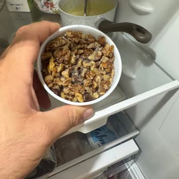 Bosch Buzdolabında Bitmeyen Gürültü Ve Çözülmeyen Sorunlar