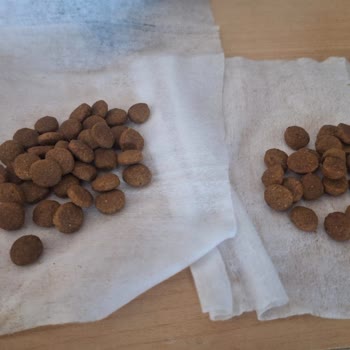 Kusurlu Mama Sonrası Yetersiz Destek Ve İletişim Sorunu