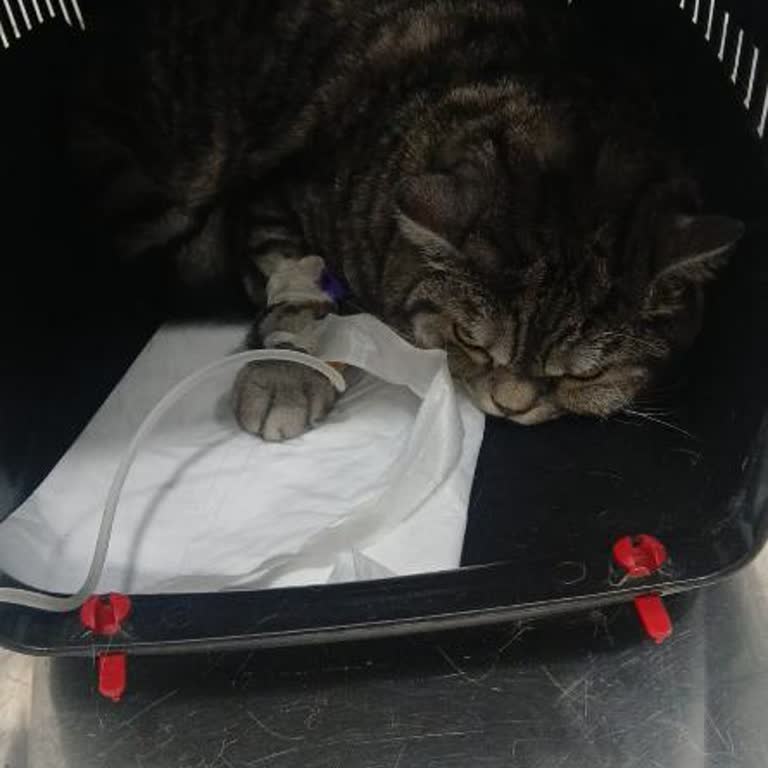 Kusurlu Mama Sonrası Yetersiz Destek Ve İletişim Sorunu