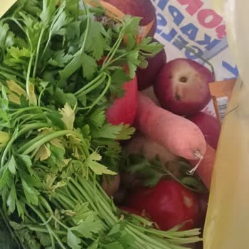 Şok Marketler Eksik Ve Düzensiz Sipariş, İlgisiz Müşteri Hizmeti