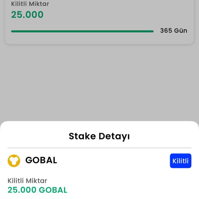 Stake Edilen Tokenin İadesi Yapılmadı, Destek Alamadım